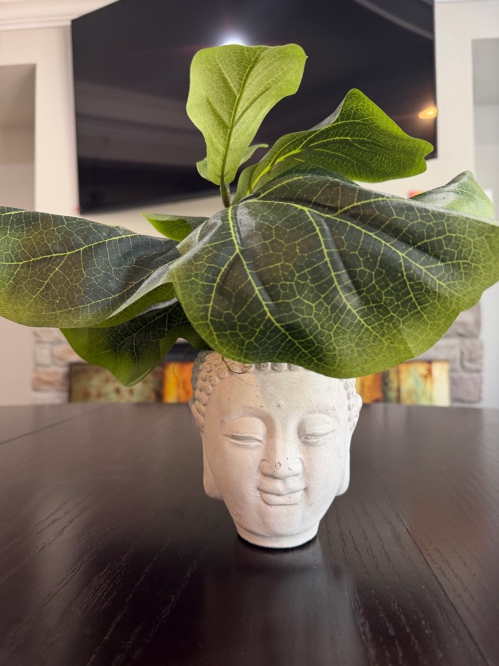 Buddha‎ Head Planter with Lush Green Fiddle Leaf